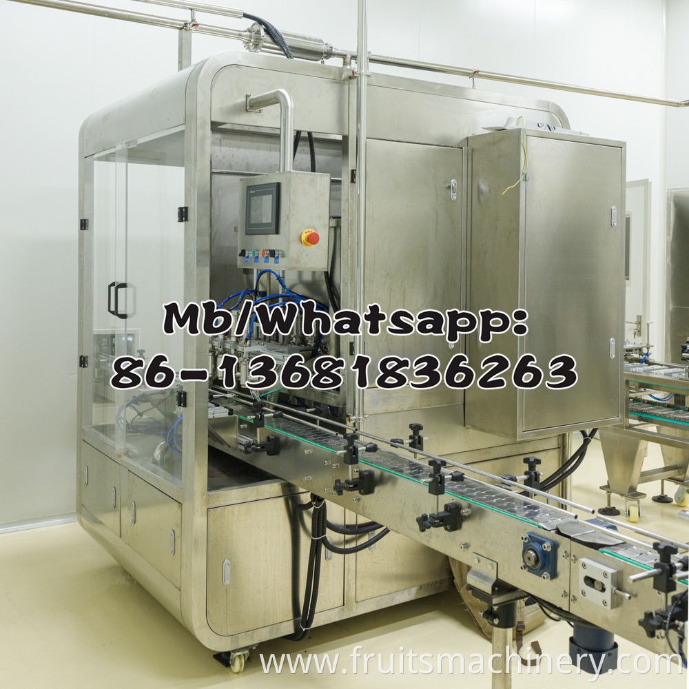 Liquid Paste Bag-given Automatic Packing Machine